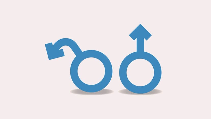 ضعف الانتصاب وسرعة القذف